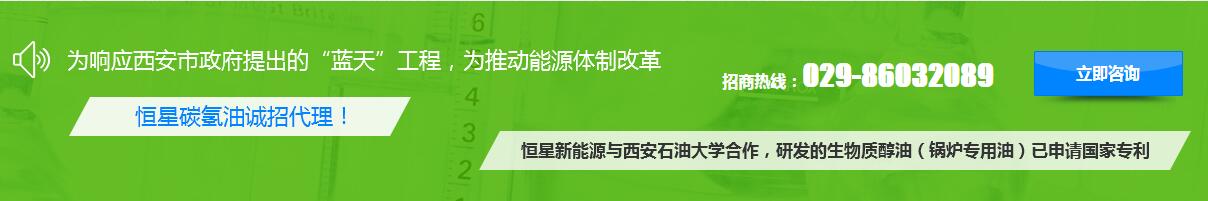 西安恒星新能源