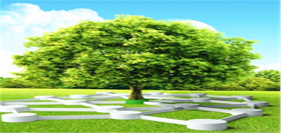 新能源汽車新型催化劑研制成功 延長(zhǎng)電池壽命